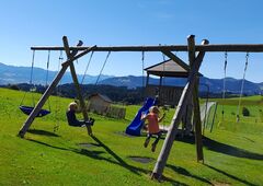 Kinder auf der Schaukel auf dem Ferienhof im Oberallgäu