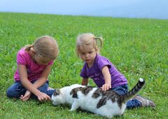 Kinder mit Katze auf dem Bauernhof im Allgäu