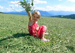 Kinder spielen im Heu auf dem Bauernhof im Oberallgäu