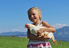 Mädchen mit Huhn auf dem Bauernhof im Oberallgäu
