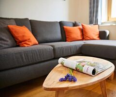 Wohnzimmer mit Couch in der Ferienwohnung Bergblick